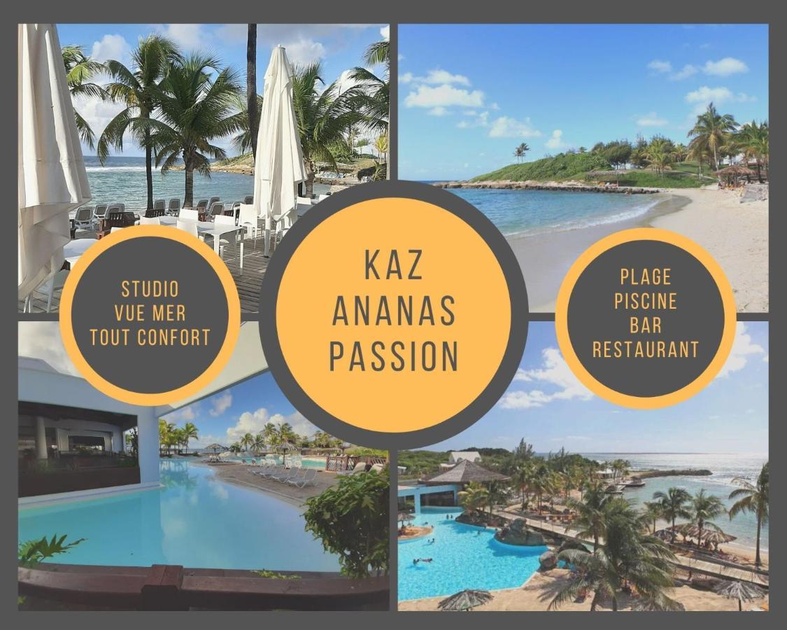 Studio Kaz Ananas Au Manganao Сен-Франсуа Экстерьер фото